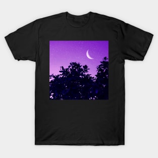 Crescent Moon, Evening Sky T-Shirt